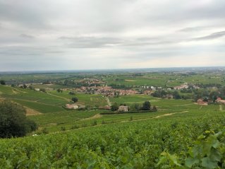 Vue depuis le Mont Brouilly